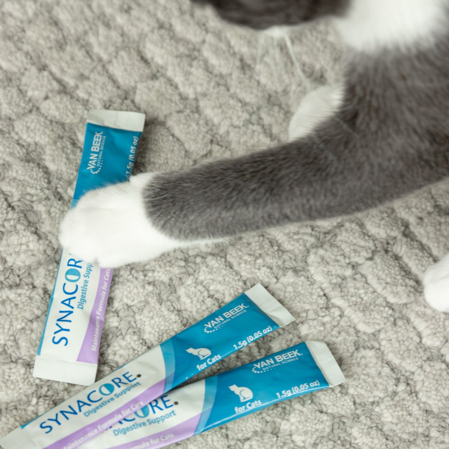 Cat Synacore - Uniquely formulated digestive support supplement containing a healthy amount of enzymes, probiotics, prebiotics and vitamins