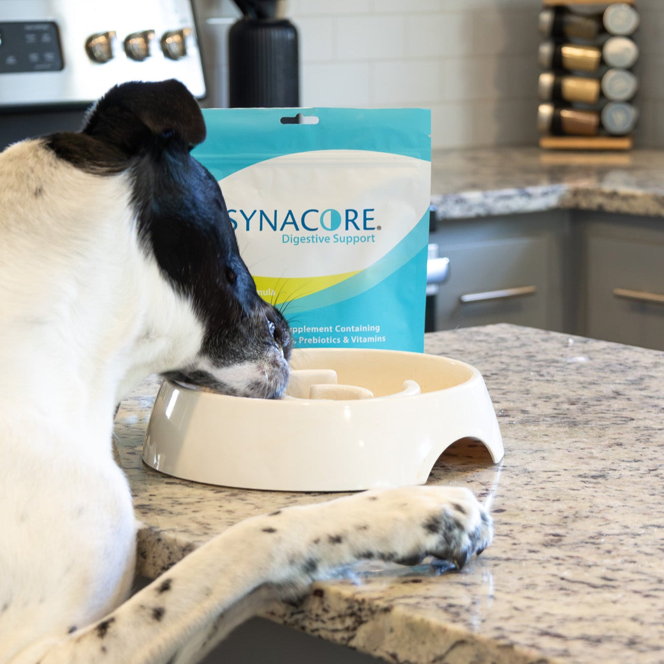 Dog Synacore - Uniquely formulated digestive support supplement containing a healthy amount of enzymes, probiotics, prebiotics and vitamins