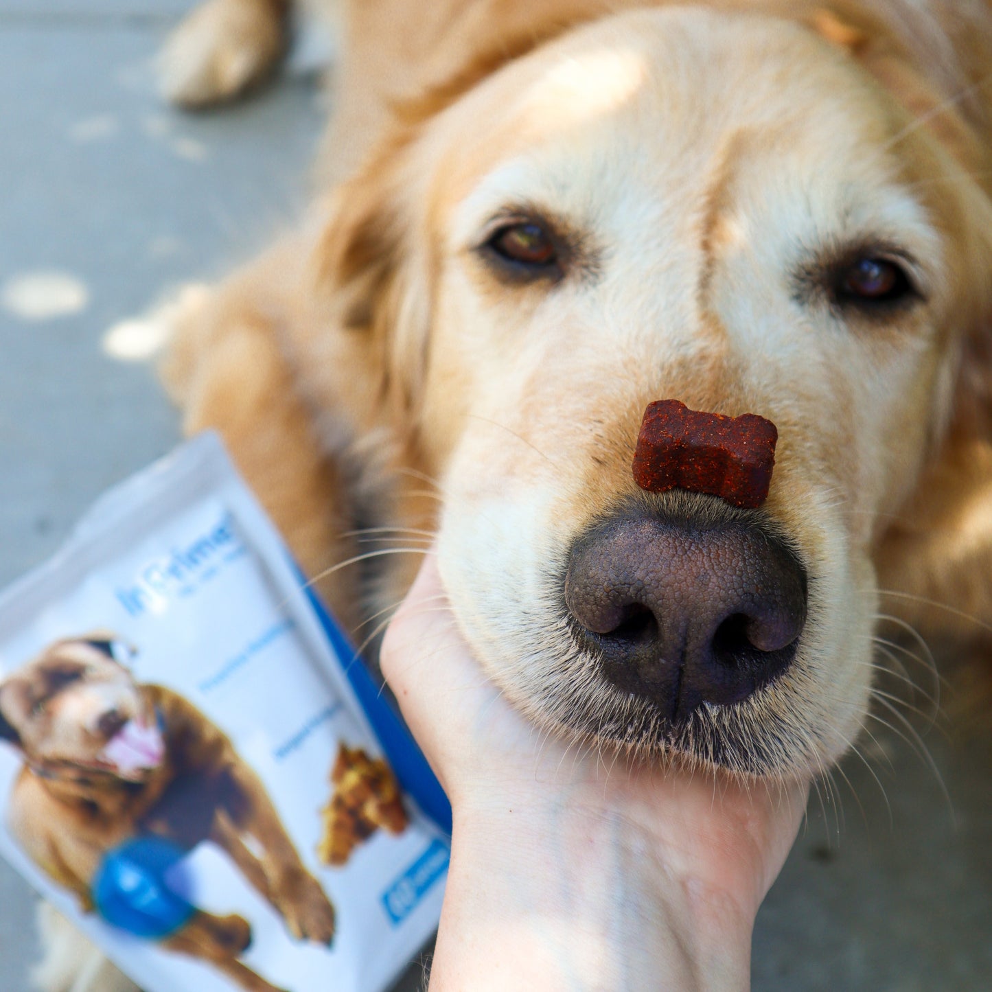 Dog InPrime - Hip and Joint dog chews for dogs of all ages and sizes