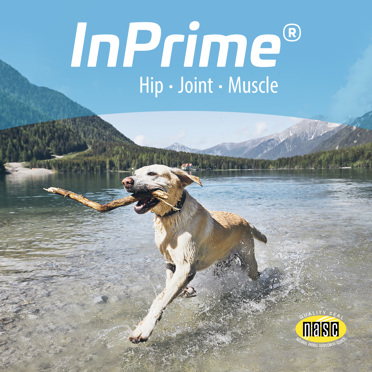 Dog InPrime - Hip and Joint soft chews for dogs of all ages and sizes