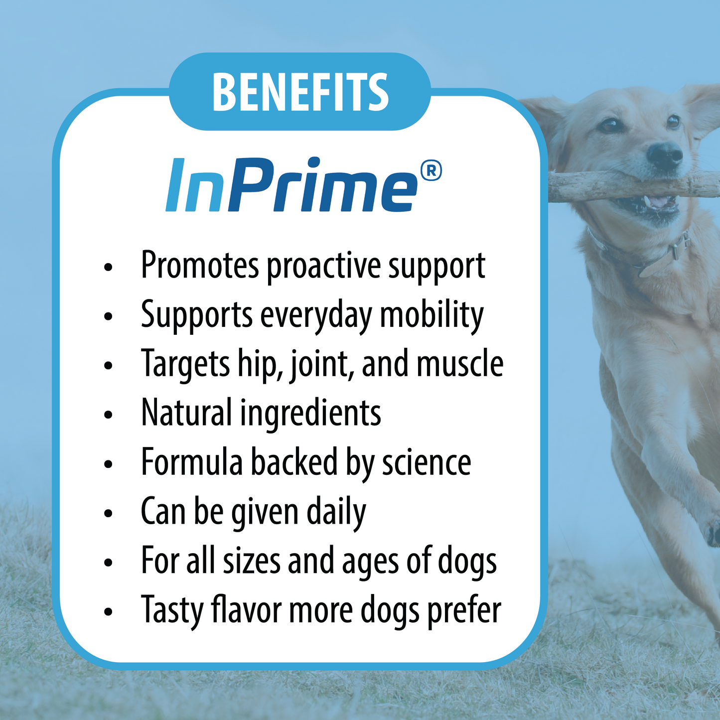 Dog InPrime - Hip and Joint dog chews for dogs of all ages and sizes