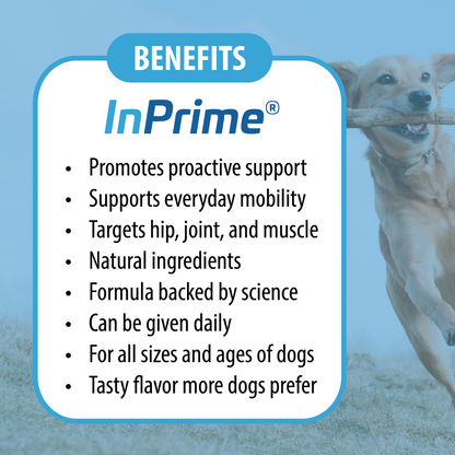 Dog InPrime - Hip and Joint dog chews for dogs of all ages and sizes