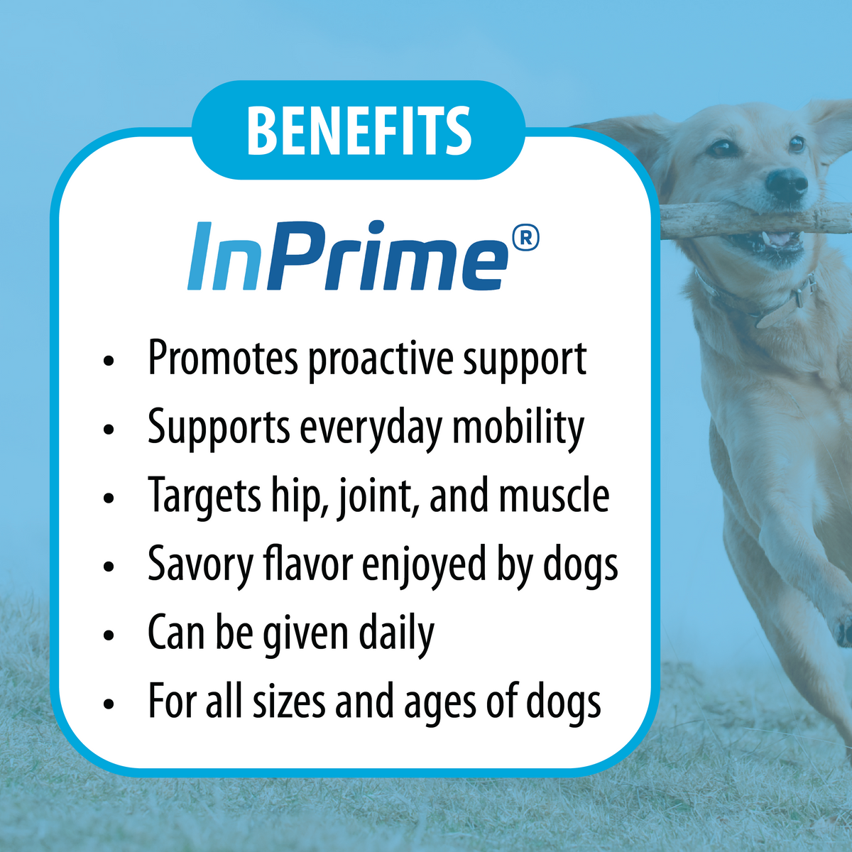 Dog InPrime - Hip and Joint soft chews for dogs of all ages and sizes
