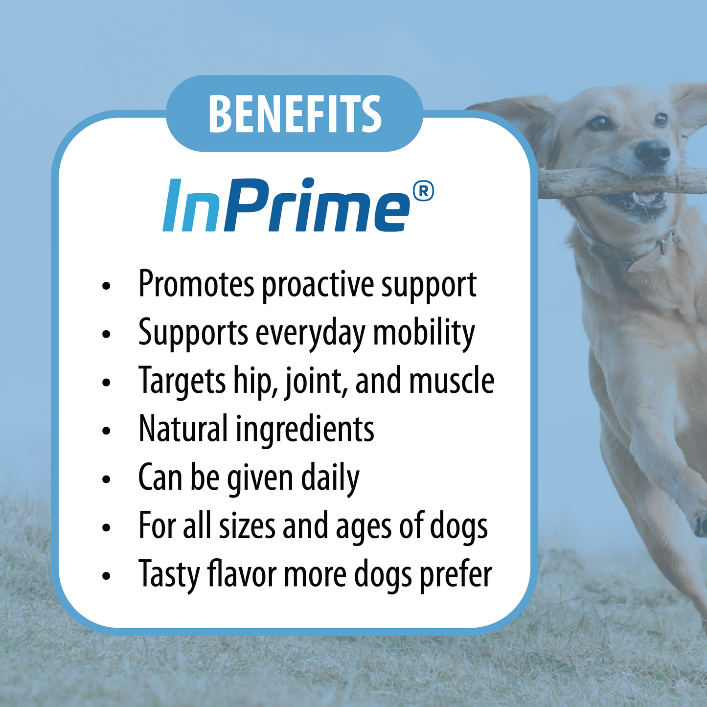 Dog InPrime - Hip and Joint dog chews for dogs of all ages and sizes