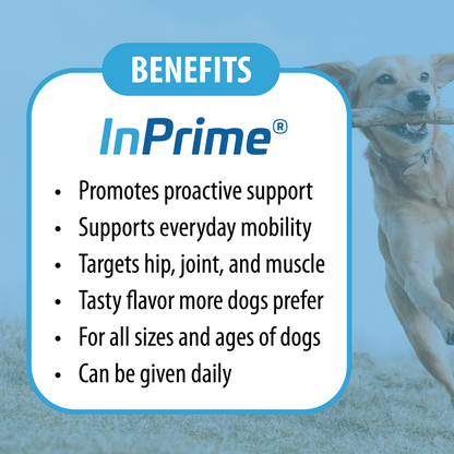 Dog InPrime - Hip and Joint soft chews for dogs of all ages and sizes